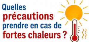 Lire la suite à propos de l’article Quelles précautions prendre en cas de fortes chaleurs?